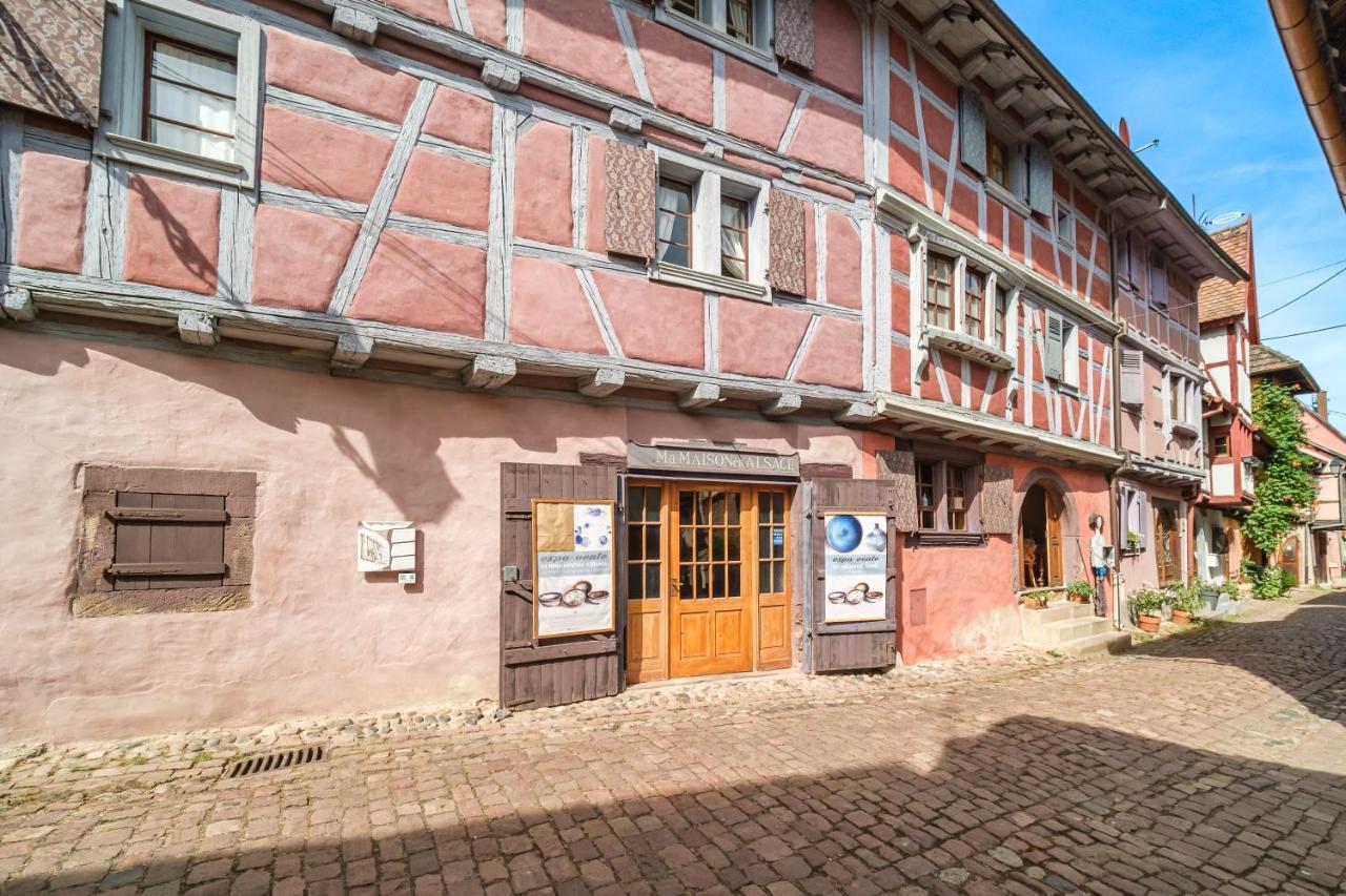 Chez Jade Et Ambre Διαμέρισμα Eguisheim Εξωτερικό φωτογραφία