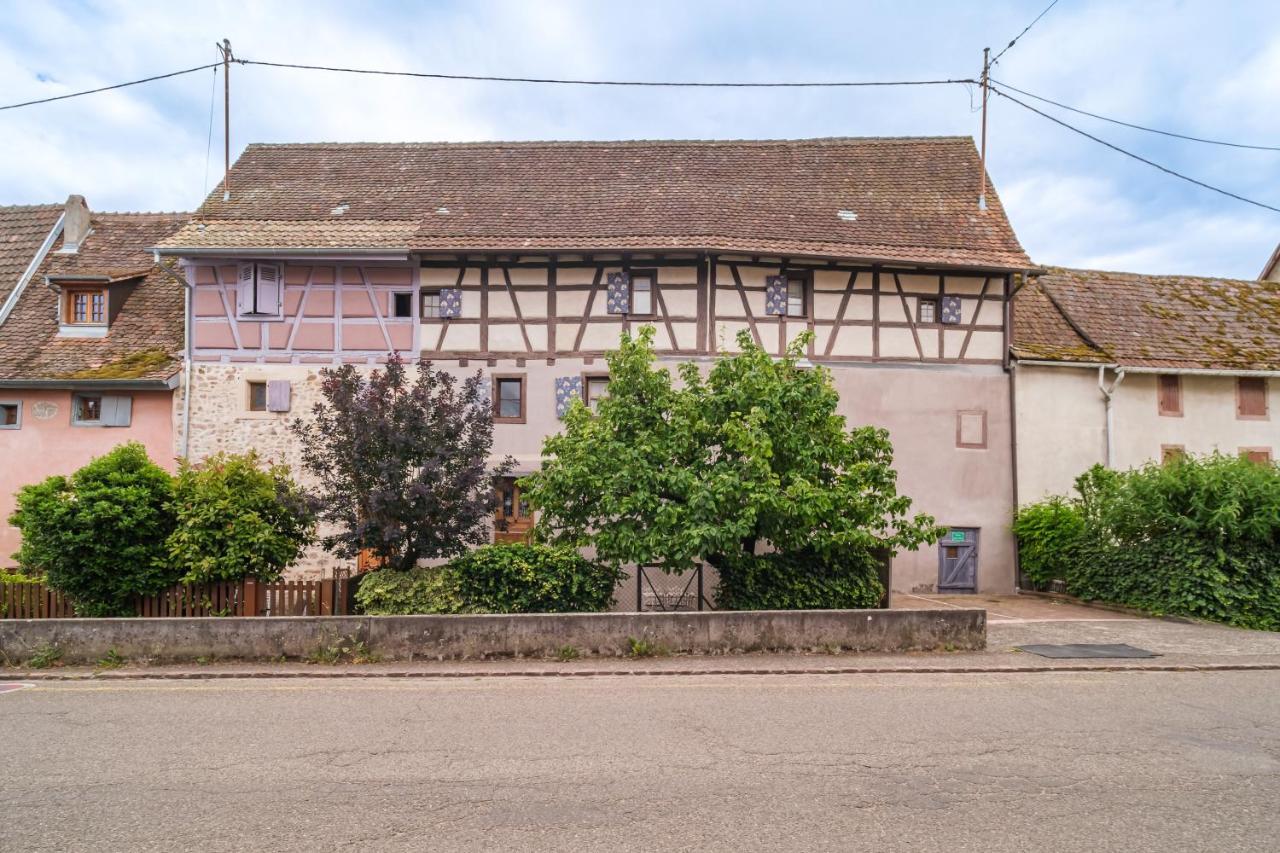 Chez Jade Et Ambre Διαμέρισμα Eguisheim Εξωτερικό φωτογραφία